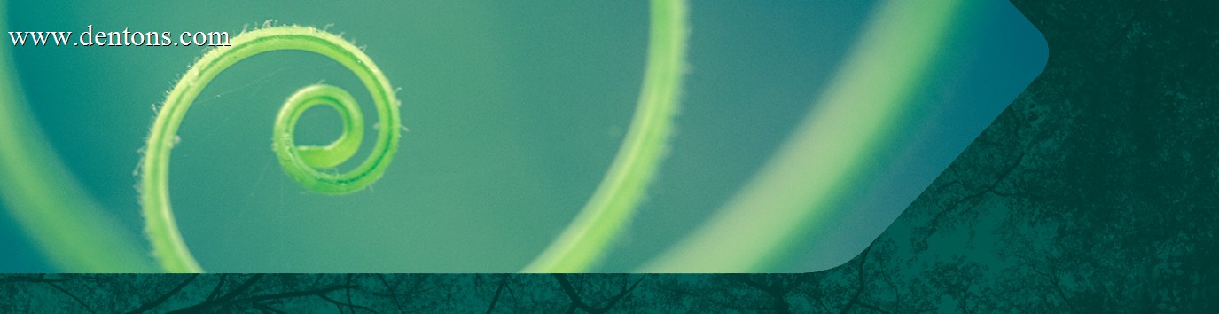 Coffee, Carbon & Conversation banner